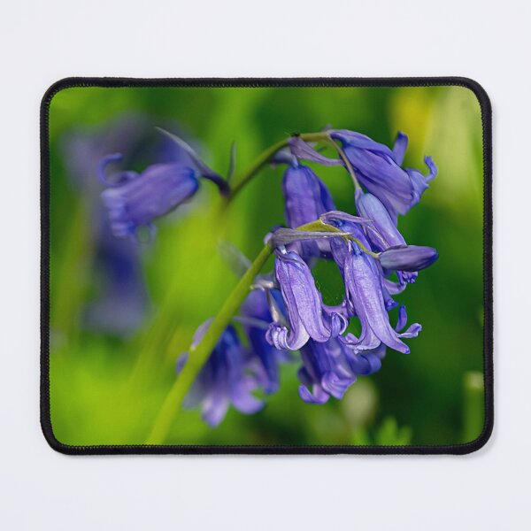 Item preview, Bluebells designed and sold by craigewmcg123.