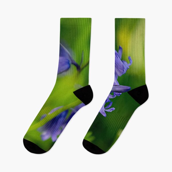 Item preview, Bluebells designed and sold by craigewmcg123.