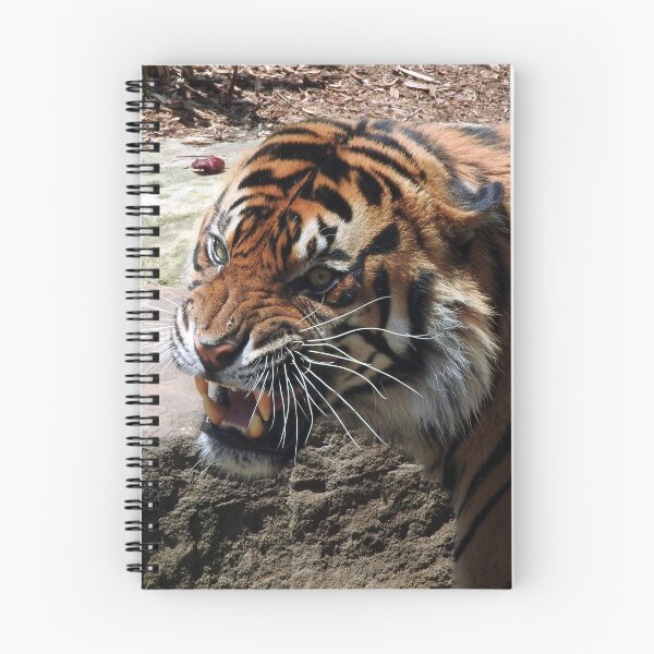 Item preview, Clarence the Sumatran Tiger designed and sold by kirstybush.