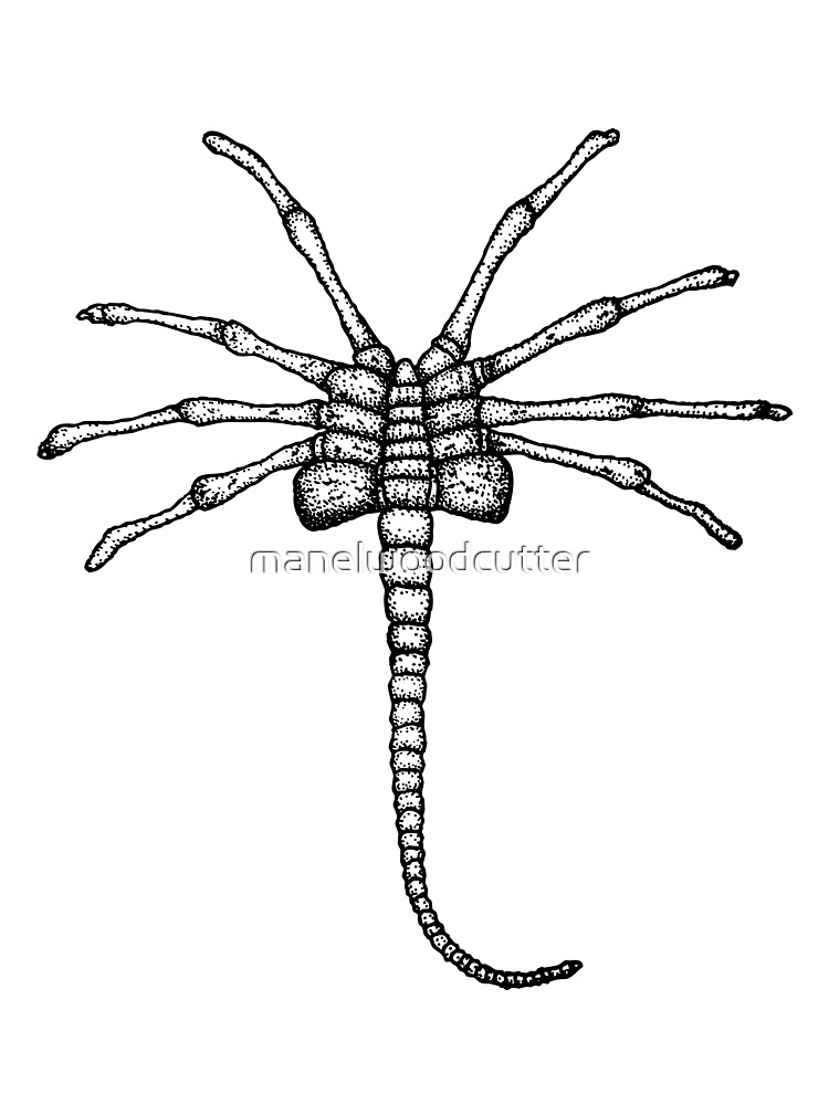 "ALIEN FACEHUGGER" Art Print for Sale by manelwoodcutter Redbubble