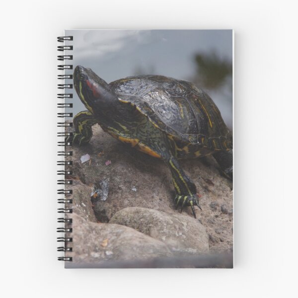Item preview, Red-eared Terrapin designed and sold by lezvee.