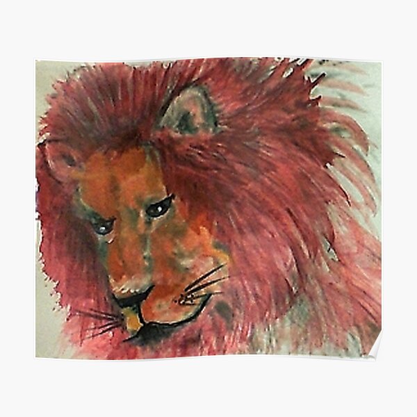 Male Lion laying down alone Poster