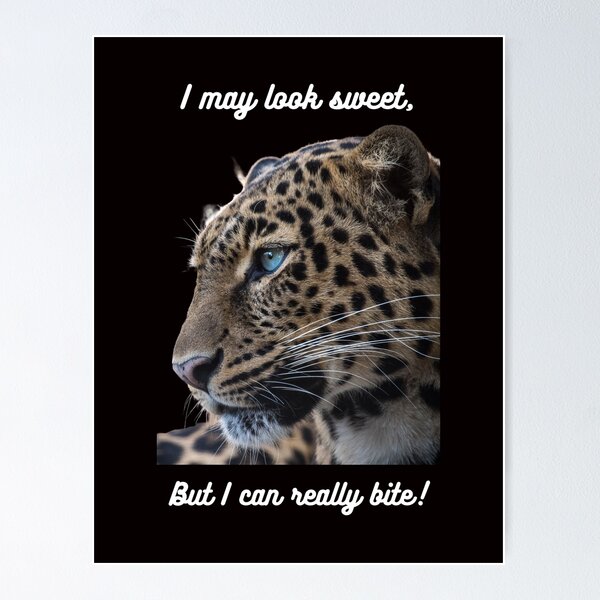 Item preview, Leopard liking sweet designed and sold by hazelknott.