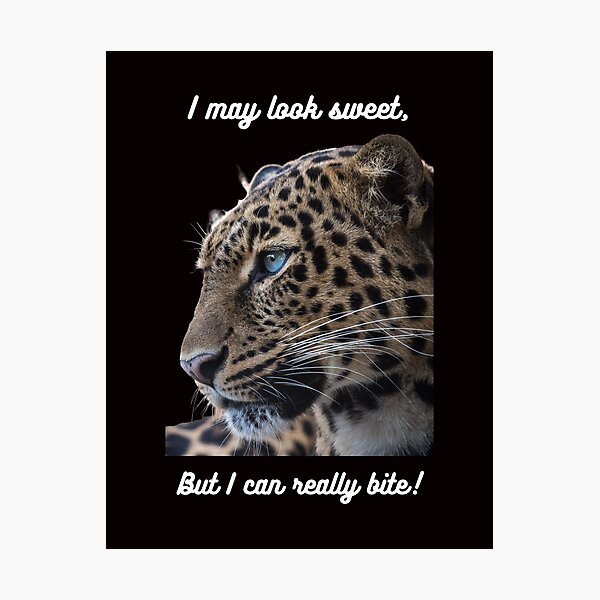 Item preview, Leopard liking sweet designed and sold by hazelknott.