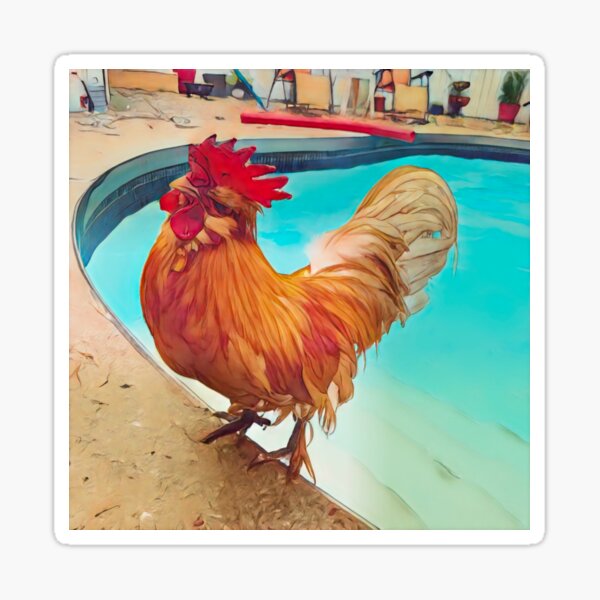 "Defiant Pool Rooster" Sticker for Sale by MosesPray Redbubble