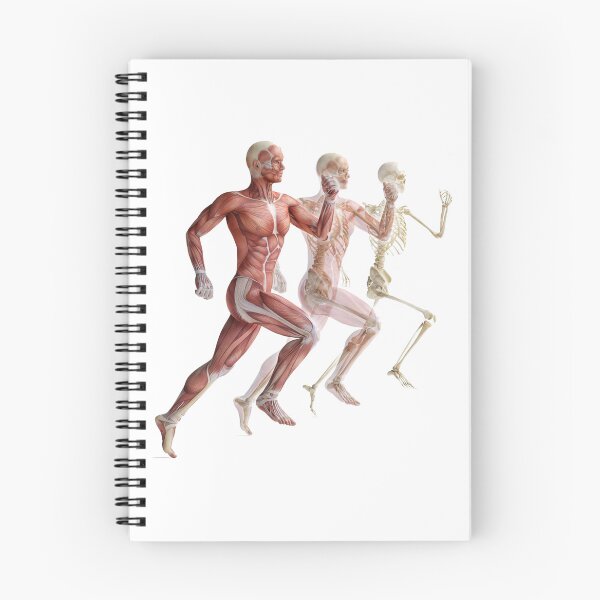 Item preview, Human Anatomy designed and sold by joventinguarezi.