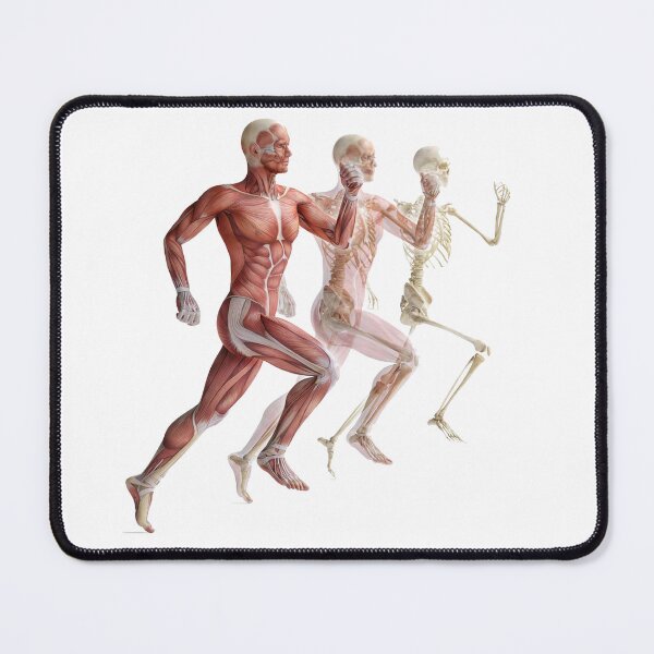 Item preview, Human Anatomy designed and sold by joventinguarezi.