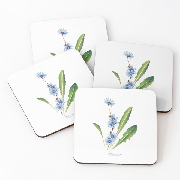 Item preview, Common chicory designed and sold by Elzapatoverde.