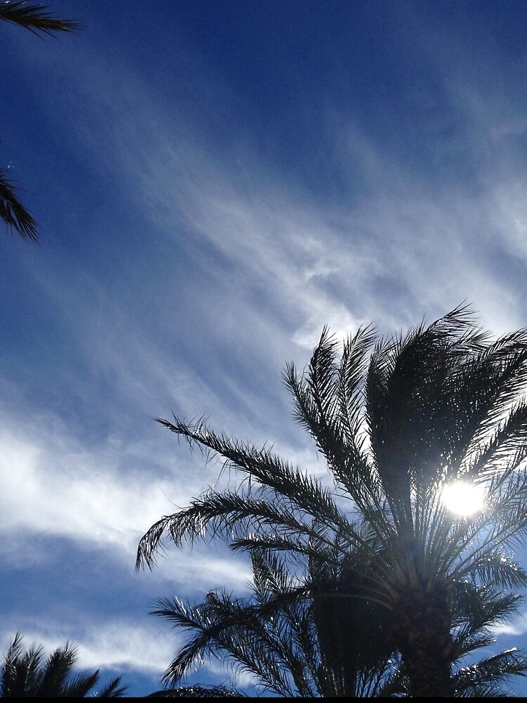 Palm Springs Winter Sky by douglasewelch