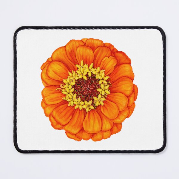 Item preview, Zinnia in Orange designed and sold by Suzannah Alexander.