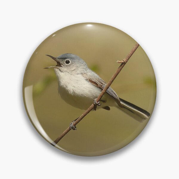 Item preview, Blue-gray Gnatcatcher designed and sold by adjohnson.