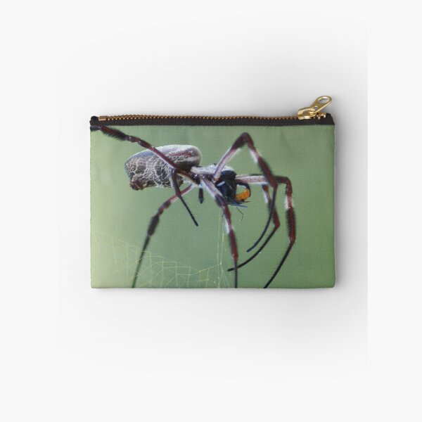 Item preview, Spidy designed and sold by Varietas.