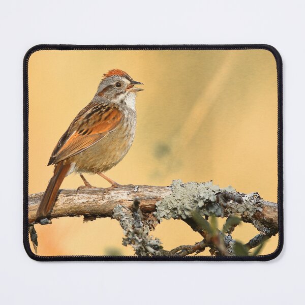 Item preview, Swamp Sparrow designed and sold by adjohnson.