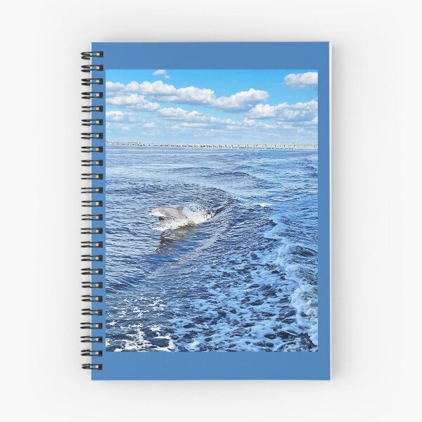 Item preview, Bottlenose designed and sold by Deb Oppermann.