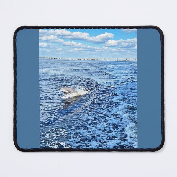 Item preview, Bottlenose designed and sold by Deb Oppermann.