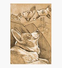 Herding Dreams Photographic Print