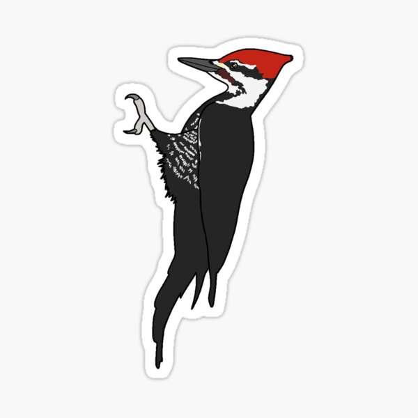 4R Quattroerre Sticker Woodpecker with Cigarette 10 x 12 cm - BigaMart