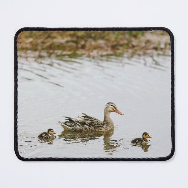 Item preview, Duck Family designed and sold by joshjdss1.