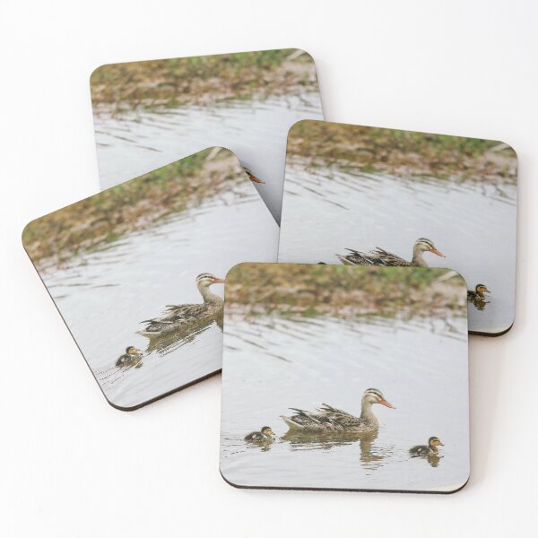 Item preview, Duck Family designed and sold by joshjdss1.