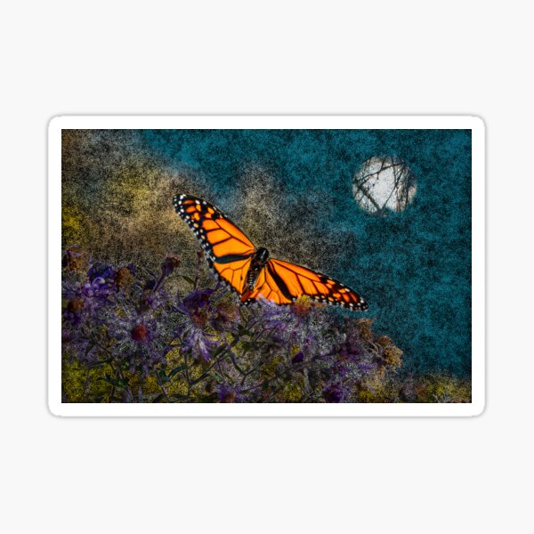 Outdoor Life Gifts and Merchandise for Sale Redbubble photo