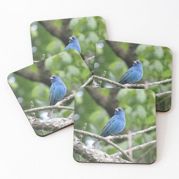 Item preview, Indigo Bunting designed and sold by StormFroggo.