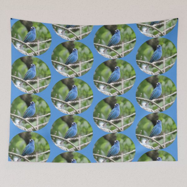 Item preview, Indigo Bunting designed and sold by StormFroggo.