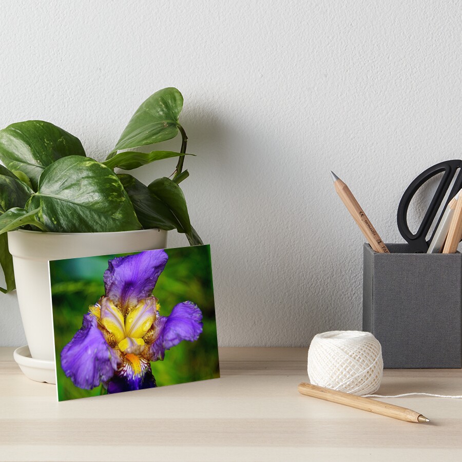 Item preview, Art Board Print designed and sold by Nikopol.