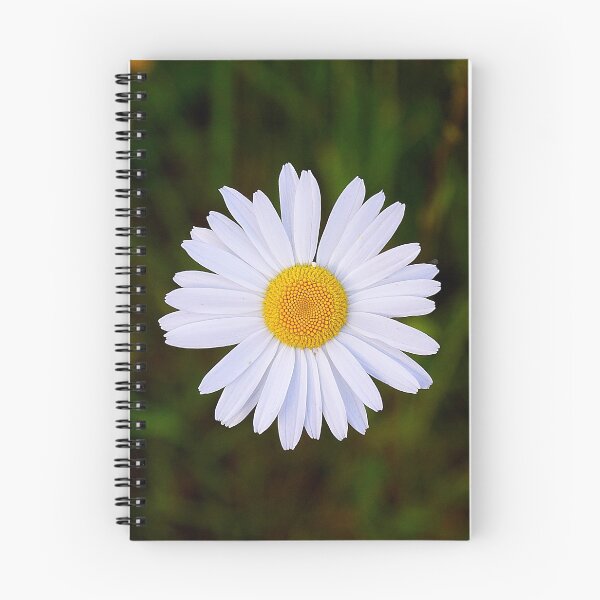 Aperçu de l'œuvre Fleur de Margarita créée et vendue par Nikopol.