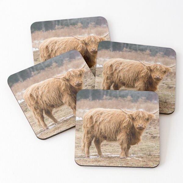 Item preview, Red Highland Cow with Horns designed and sold by Roxane Bay.