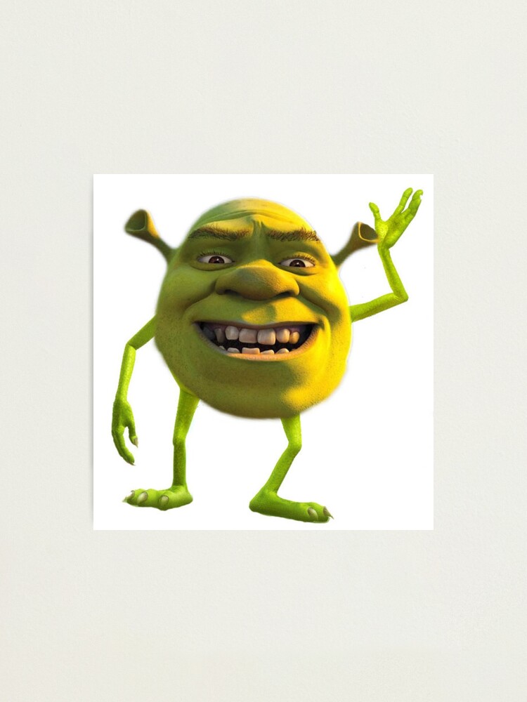 Shrek meme Photographic Print for Sale by Doflamingo99