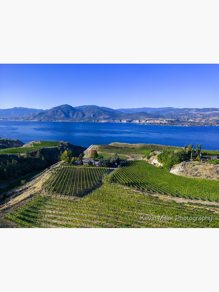 "Naramata Bench Okanagan Lake Winery Vineyard Aerial" Sticker for Sale