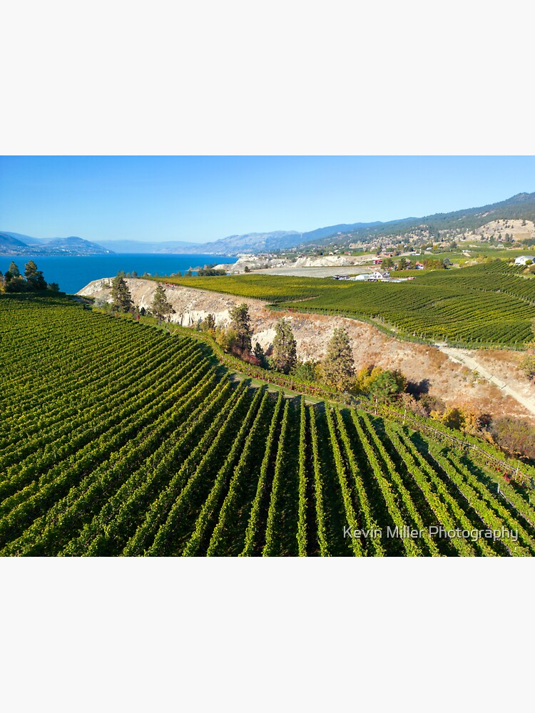 "Naramata Bench Okanagan Lake Winery Vineyard Aerial" Sticker for Sale