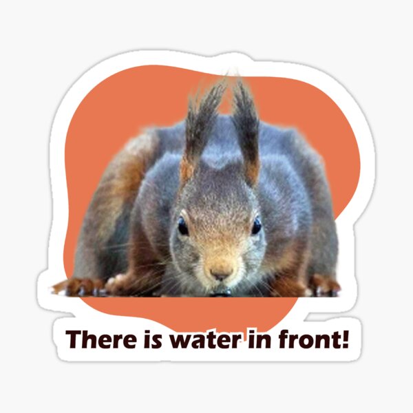 there-is-water-in-front-sticker-for-sale-by-tsaodenis-redbubble