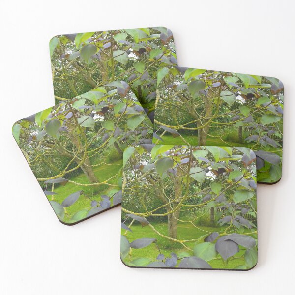 Item preview, Tree with large green and purple leaves on thin curving branches. designed and sold by claireseyeview.