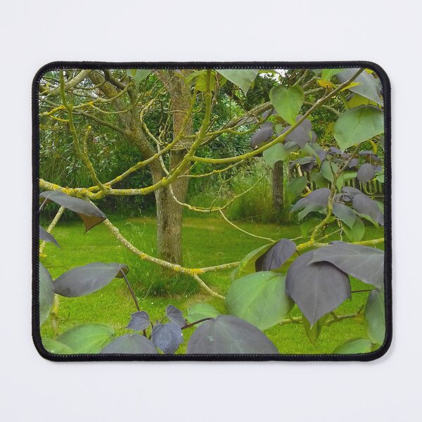 Item preview, Tree with large green and purple leaves on thin curving branches. designed and sold by claireseyeview.