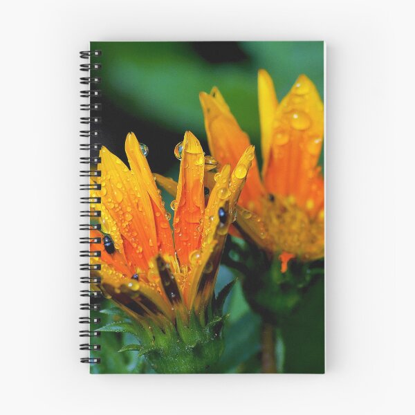 Aperçu de l'œuvre fleurs mouillées créée et vendue par Nikopol.