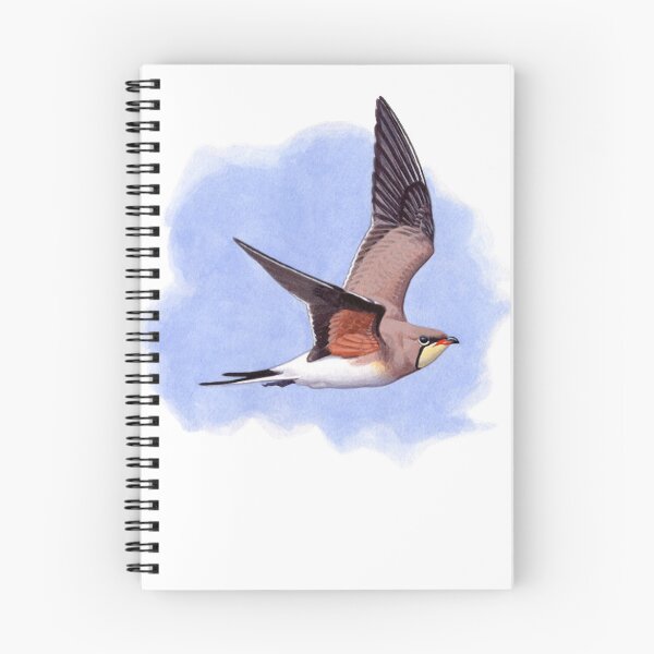 Item preview, Collared Pratincole watercolour  designed and sold by NicosRothe.