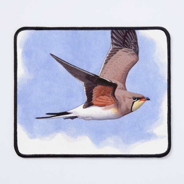 Item preview, Collared Pratincole watercolour  designed and sold by NicosRothe.
