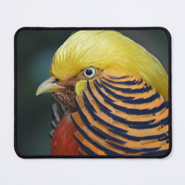 Item preview, Golden designed and sold by Bianca Cerio.