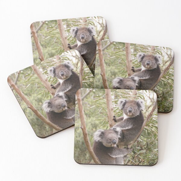 Item preview, koala buddies designed and sold by rogersmith.