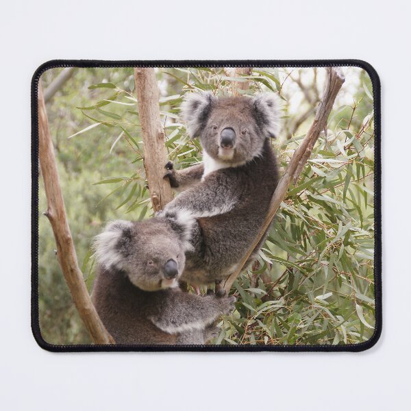 Item preview, koala buddies designed and sold by rogersmith.