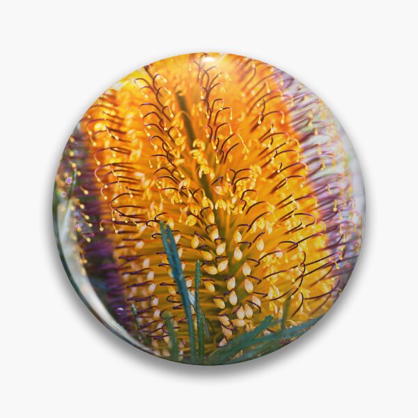Item preview, Banksia Flower Natures Bonbon  designed and sold by Joy Watson - Natural Light Photography .