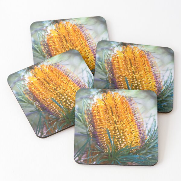 Item preview, Banksia Flower Natures Bonbon  designed and sold by Joy Watson - Natural Light Photography .