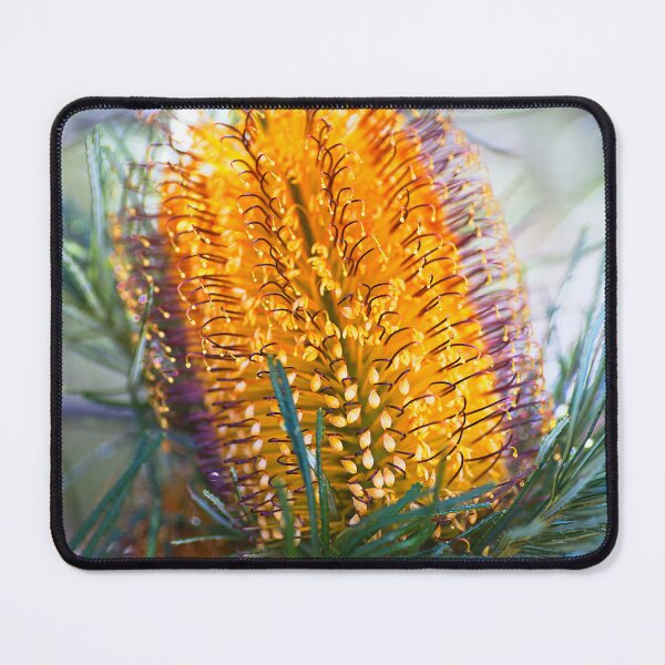 Item preview, Banksia Flower Natures Bonbon  designed and sold by Joy Watson - Natural Light Photography .