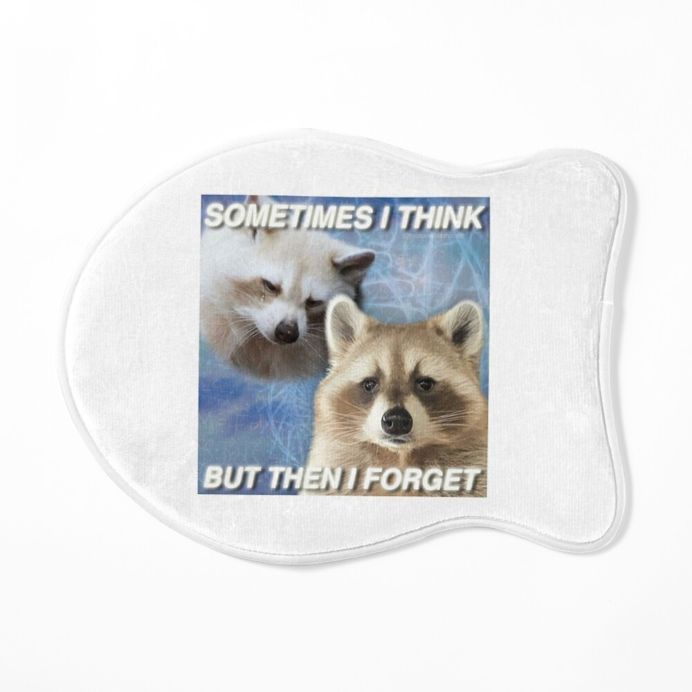 Silly Raccoons Matte Vinyl Stickers: Smooth Brain and Confused