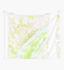 USGS TOPO Map Illinois IL Olmsted 308369 1967 24000 Wall Tapestry