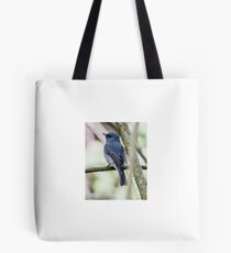 Dull Blue Flycatcher4760 Tote Bag