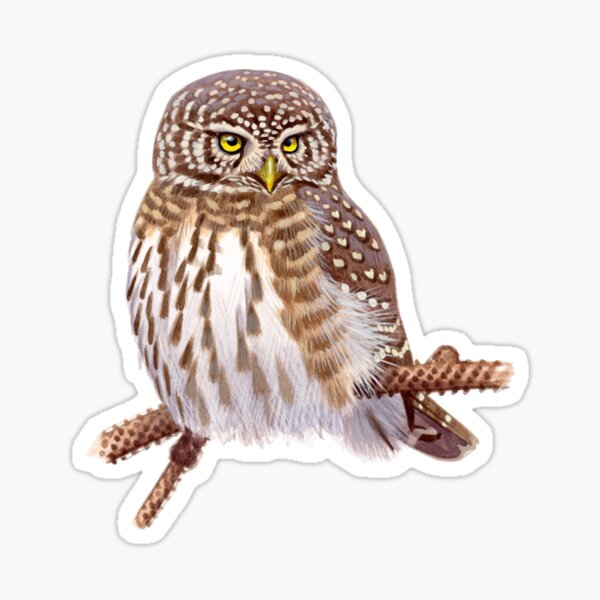Item preview, Eurasian Pygmy Owl designed and sold by ChristinsKluge.