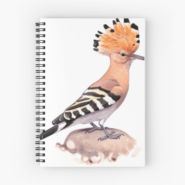Item preview, Eurasian Hoopoe  designed and sold by ElfriedeWeigel.
