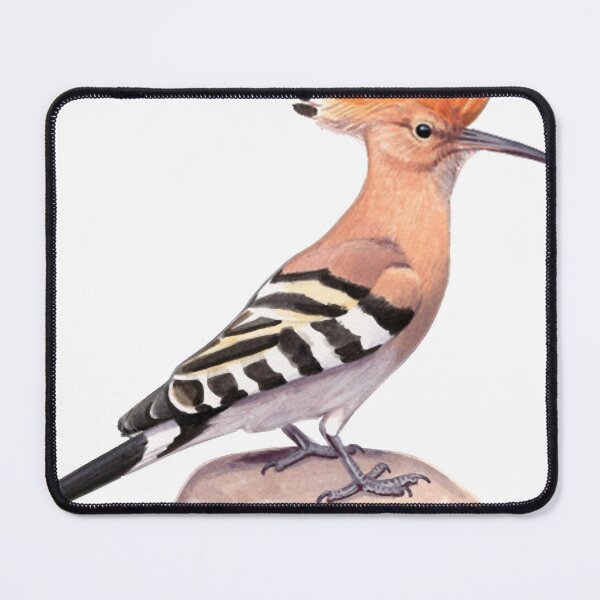 Item preview, Eurasian Hoopoe  designed and sold by ElfriedeWeigel.